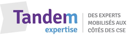 logo tandem expertises